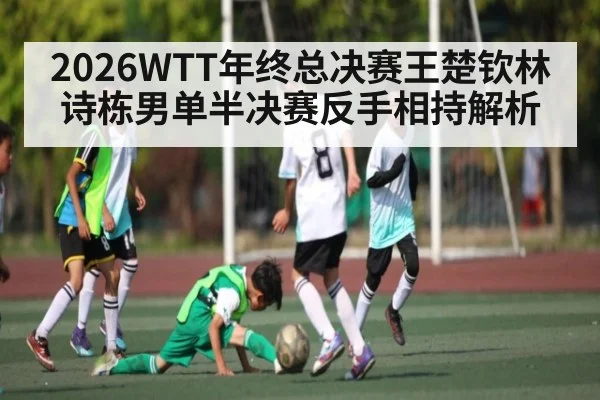 2026WTT年终总决赛王楚钦林诗栋男单半决赛反手相持解析