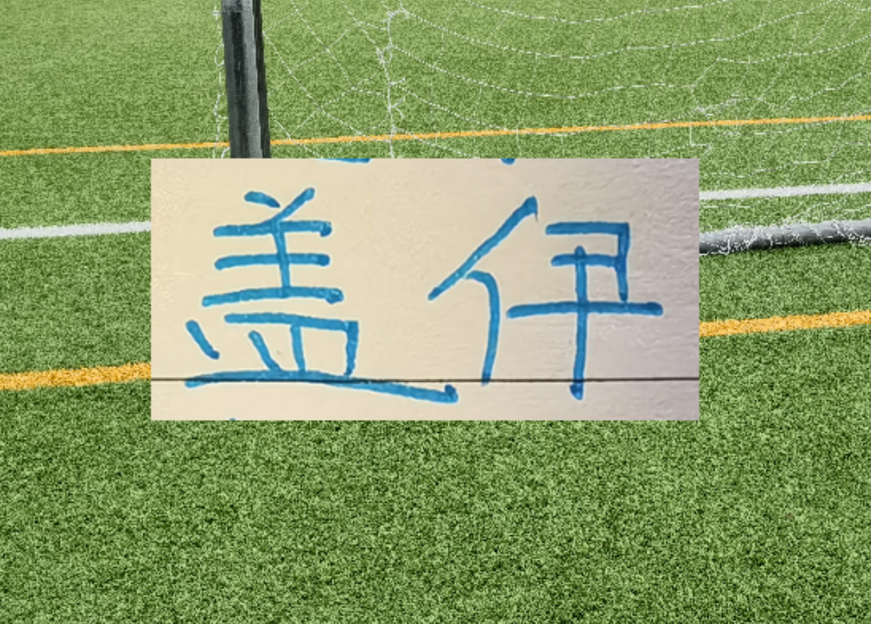 开云体育下载-1米95的盖伊会像马莱莱一样 面对中超后卫都是降维打击吗